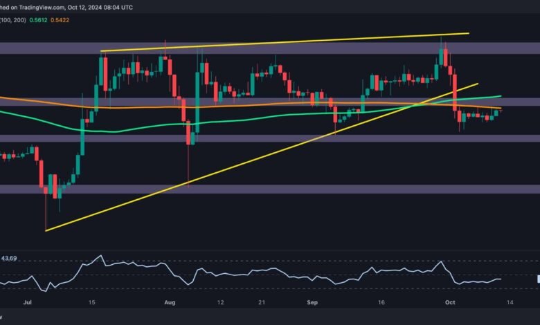 Ripple Price Analysis: Is XRP Headed to $0.5 or $0.6 Next?