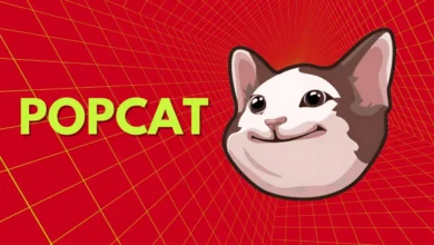 POPCAT Rises to the Top, Surpassing Bitcoin and Ethereum