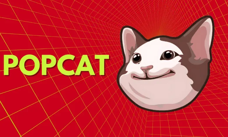 POPCAT Rises to the Top, Surpassing Bitcoin and Ethereum