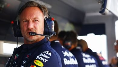 Horner : Red Bull garde la porte ouverte à des collaborations avec Ricciardo