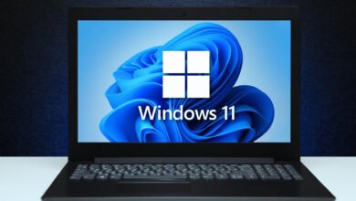 Windows 11 market share grows, but Windows 10 still twice as popular