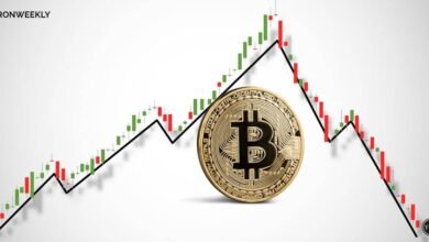 Bitcoin Soars Past $76,000, Analyst Predicts $500,000 Within Four Years