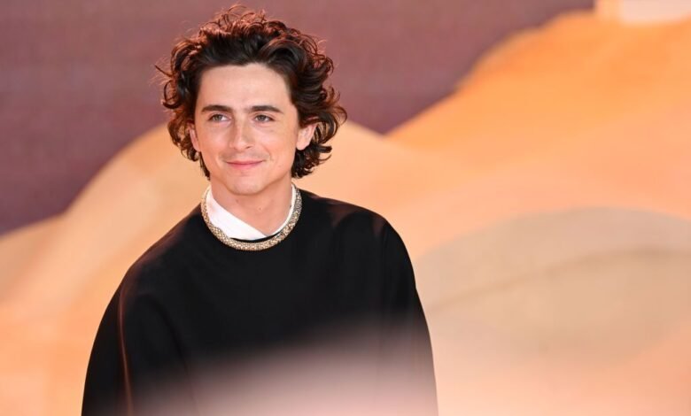 Timothée Chalamet Was Told He Was Too Skinny to Be a Movie Star