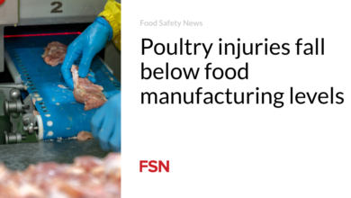 Poultry injuries fall below food manufacturing levels