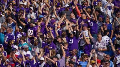 Everything Minnesota Vikings Fans Need to Know Heading into Week 12 vs. the Chicago Bears