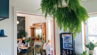 This Cozy Coffee and Garden Shop Has Become a Staple in Its Community By Following 5 Smart Strategies