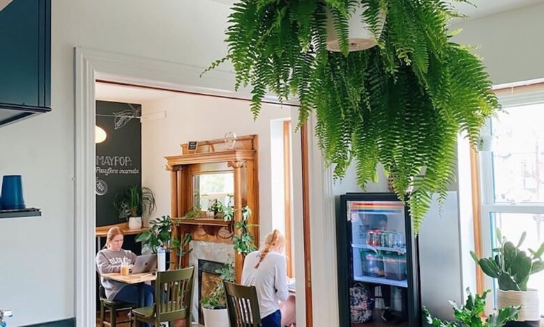 This Cozy Coffee and Garden Shop Has Become a Staple in Its Community By Following 5 Smart Strategies