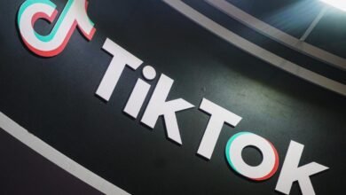 TikTok loses its bid to pause the law that could ban it next month