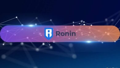 Ronin’s DeFi TVL Grows 149% YoY, Boosted by RON Token’s 30% Price Rise