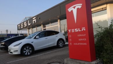 Tesla’s stock should be bought on pullbacks for all these reasons, analyst says