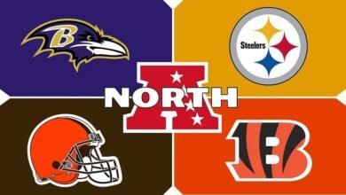 AFC North Standings: Photo Finish Race For Steelers And Ravens