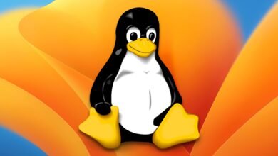 What will 2025 bring for Linux PCs?