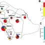 Deadly bacteria behave differently in Saudi Arabia compared with rest of world, epidemiology study finds