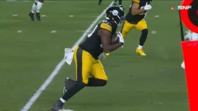 Five Steelers Make Former Agent’s List Of 2024 Best Value Players