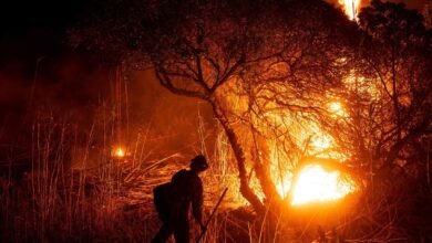 Los Angeles wildfires brace for monster winds: Firefighters on high alert – Disaster in numbers