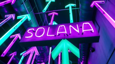 Solana’s Ascent to $1000 Is Just the Beginning – 5 Best Crypto to Buy Now for Massive Returns!