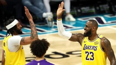 Anthony Davis Dazzles Fans as LeBron James, Lakers Beat Hornets amid LaMelo Injury