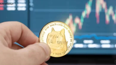 Dogecoin’s Next Big Move? Analysts Set Bold Price Targets Above $0.6