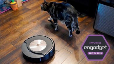 The best robot vacuum for 2025