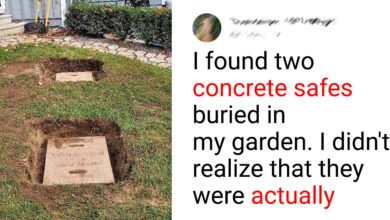 16 Mysterious Things People Stumbled Upon, Sparking Internet Frenzy